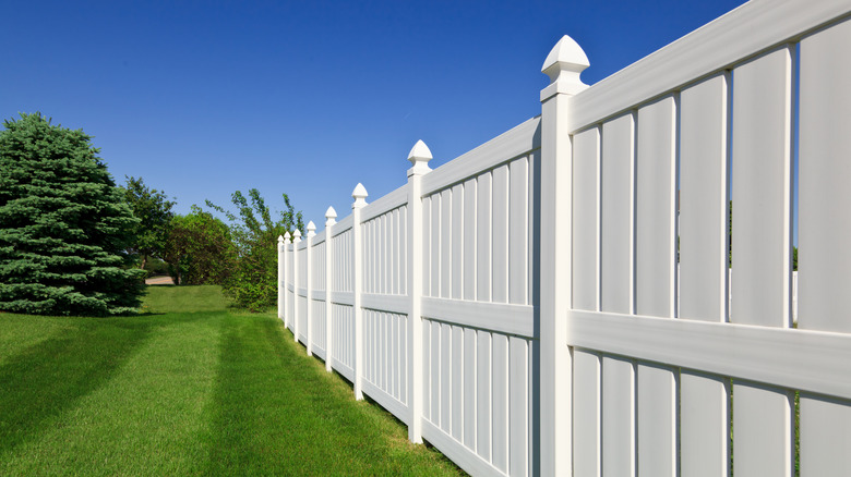 White vinyl fence beside greenery
