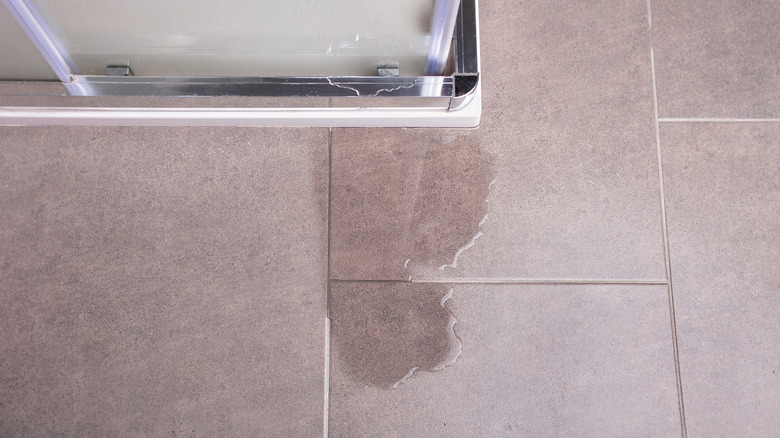 Leakage of water from a shower
