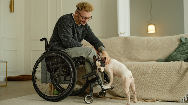 Man in wheelchair on carpet in living room