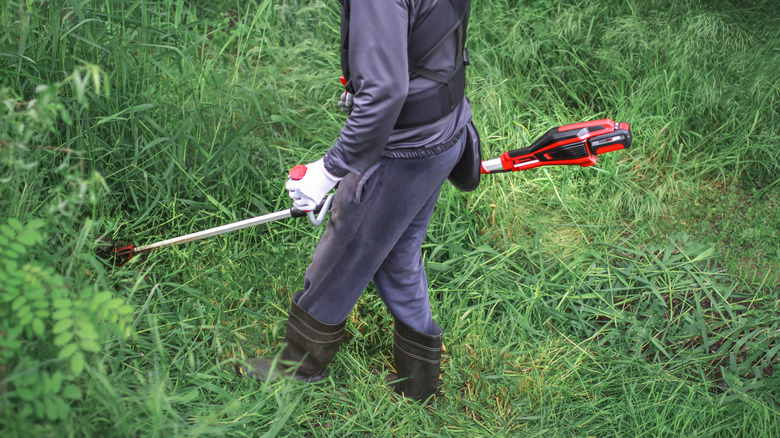Messy yard with planters and old furniture