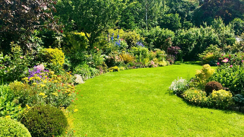 Well manicured lawn with flowers and bushes