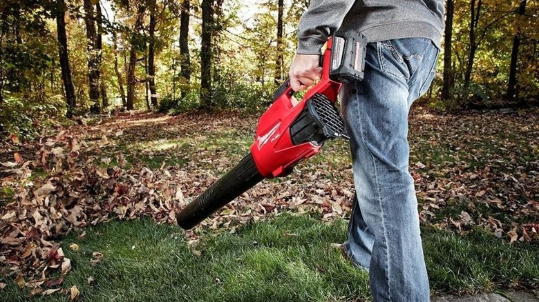 Man blowing leaves with the leaf blower