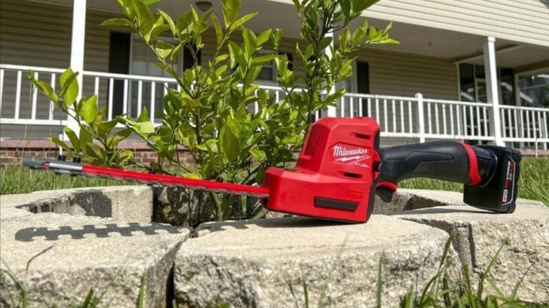Hedge trimmer sitting outside on a planter