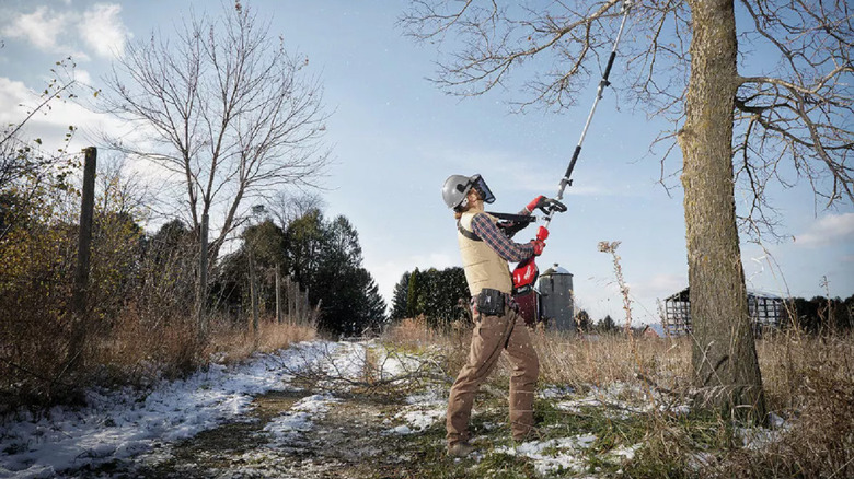 Woman holding a pole saw to reach tall branches