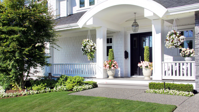 Plants on porch