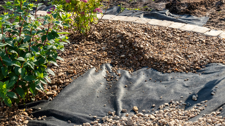 Gravel surrounded by paver stone edging is waiting to be smoothed over black landscaping fabric