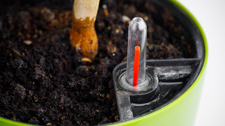 Soil and water indicator in a self-watering planter