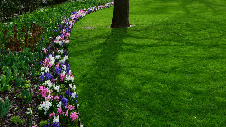 subtle metal edging seperating flowers and lawn