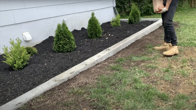 poured concrete edging surrounding tree garden