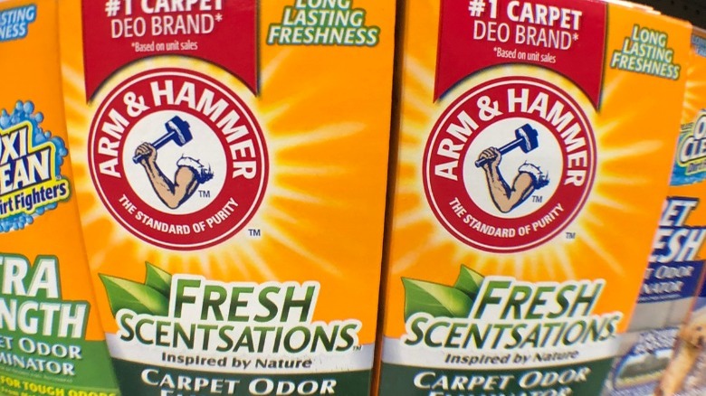 Baking soda carpet deodorizer 