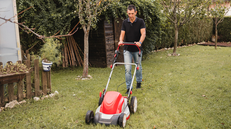 A person mowing the lawn