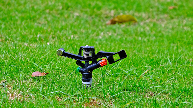 A sprinkler head in the grass