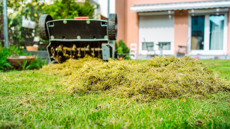 A dethatched lawn and an aerator