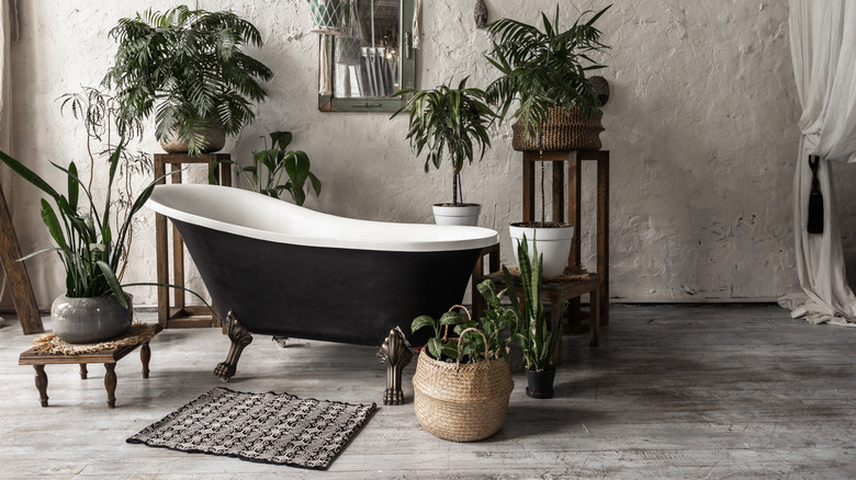 black bathtub surrounded by plants