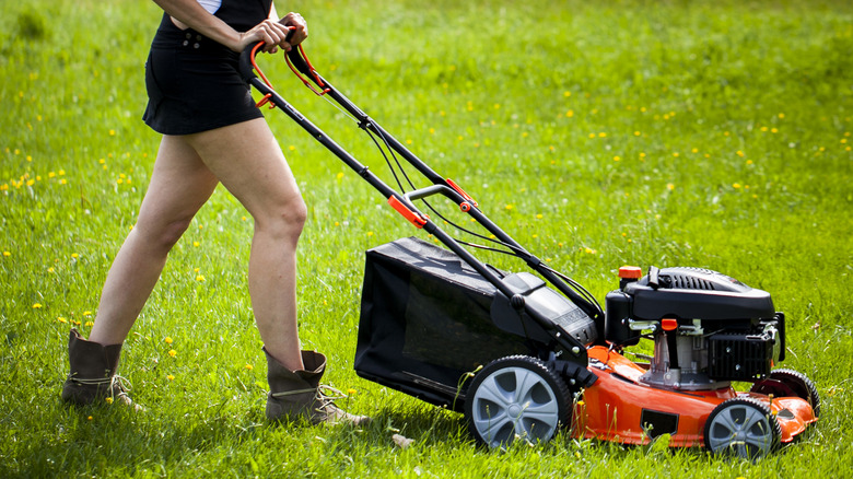 mistakes-everyone-makes-when-buying-a-lawn-mower