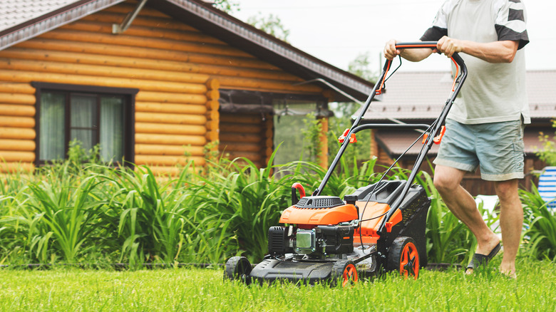 Lawn mower types