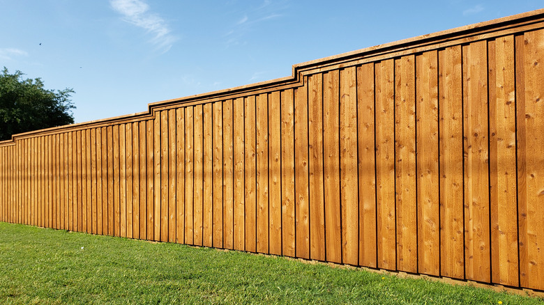 tall wooden fence