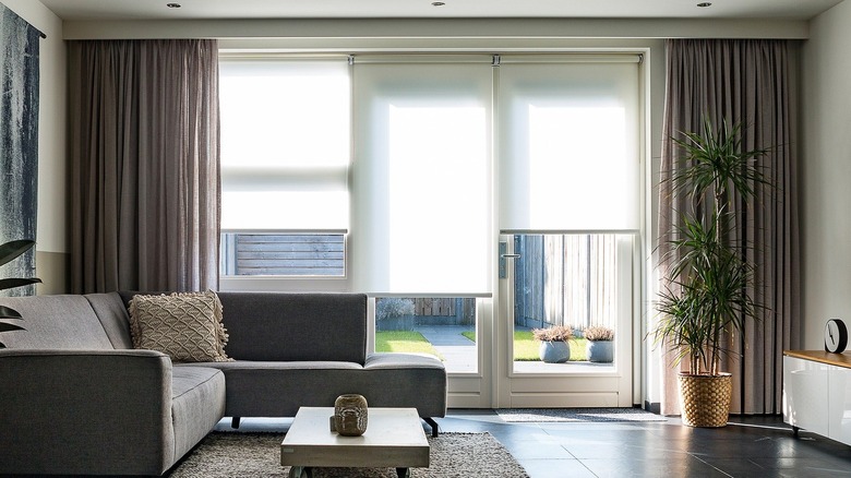 bright windows with brown curtains