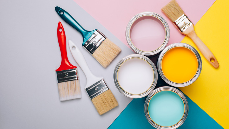 Everything You Need to Know About Paint Primers Explained Here!