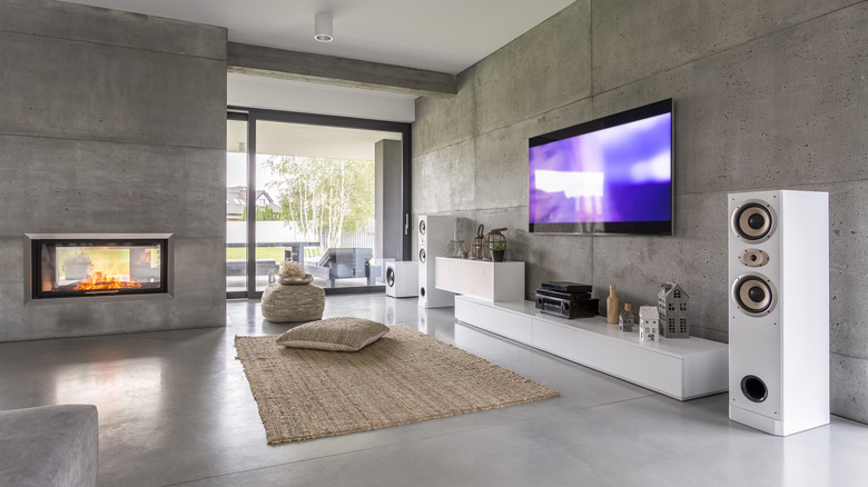 large room with TV and speakers 