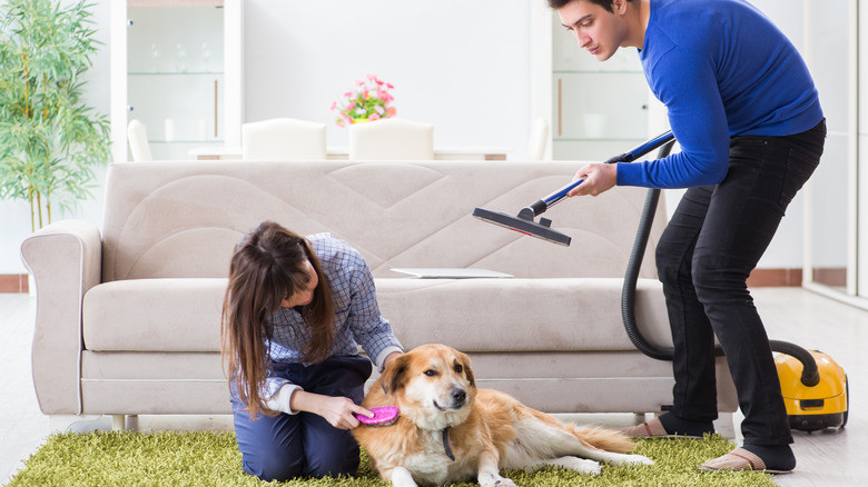 couple vacuuming dog hair