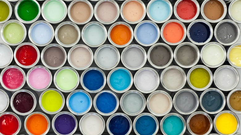 Paint sample cans