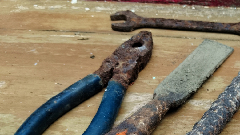 A collection of rusted tools
