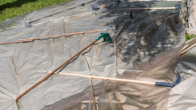 Garden tools resting on the ground in the sunshine