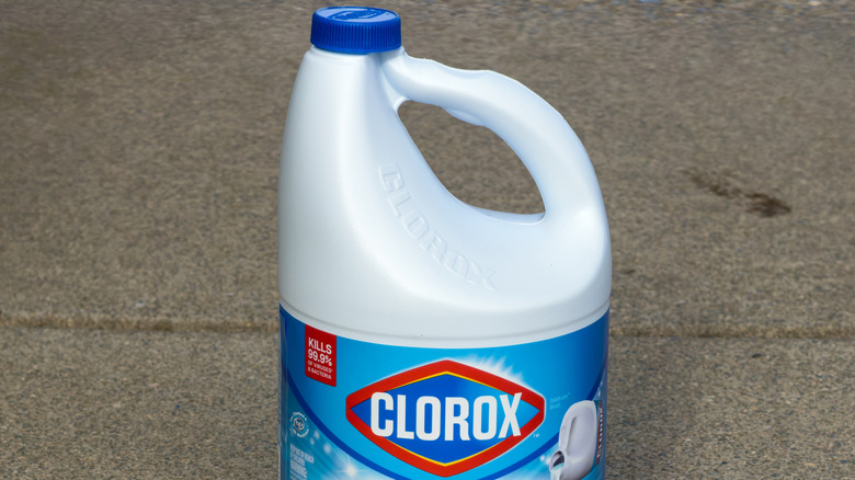 A bottle of Clorox bleach