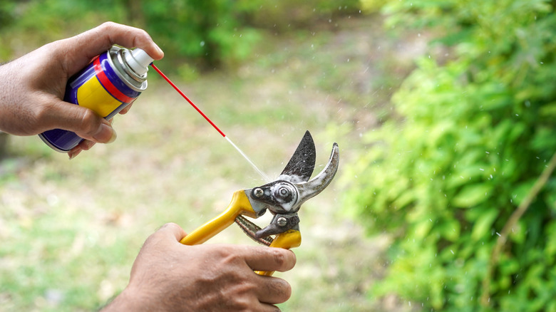 A person spraying garden tool with WD-40