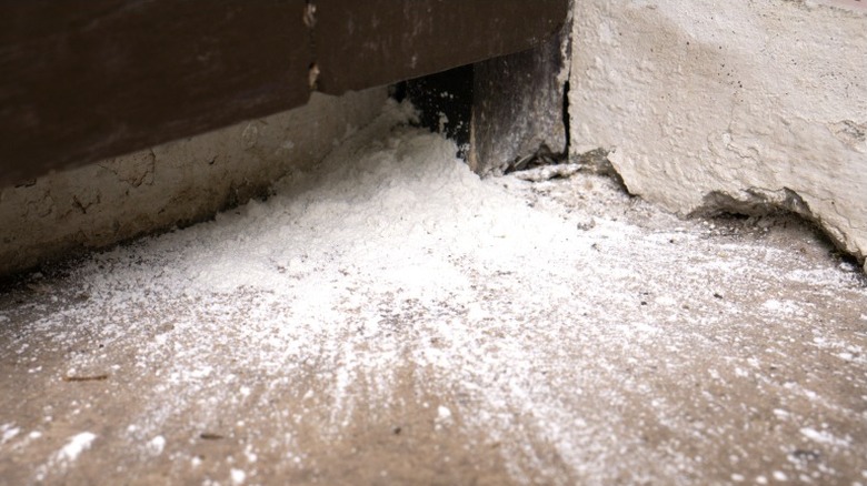 Pesticide powder scattered in corner where pavement meets a concrete wall