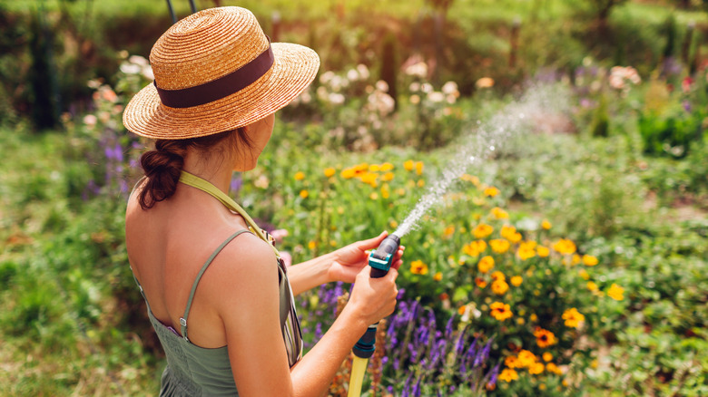 A woman watering the garden