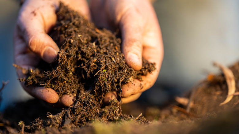 A person grabbing a handful of soil