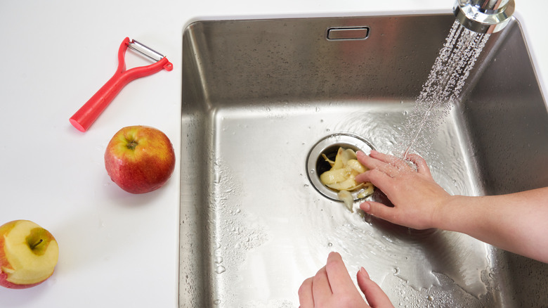 garbage disposal sink apple