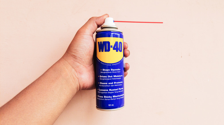 Hand holding WD-40 can