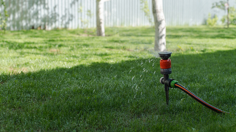 A sprinkler head in the shade