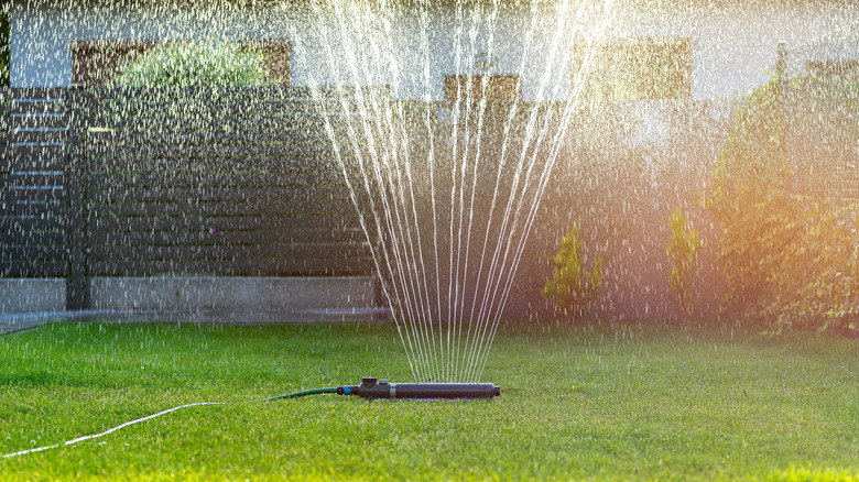A sprinkler on green grass