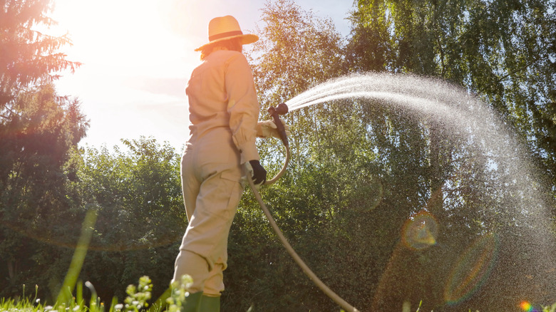 A person watering the lawn with a hose