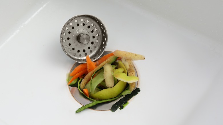 peels stuffed in garbage disposal
