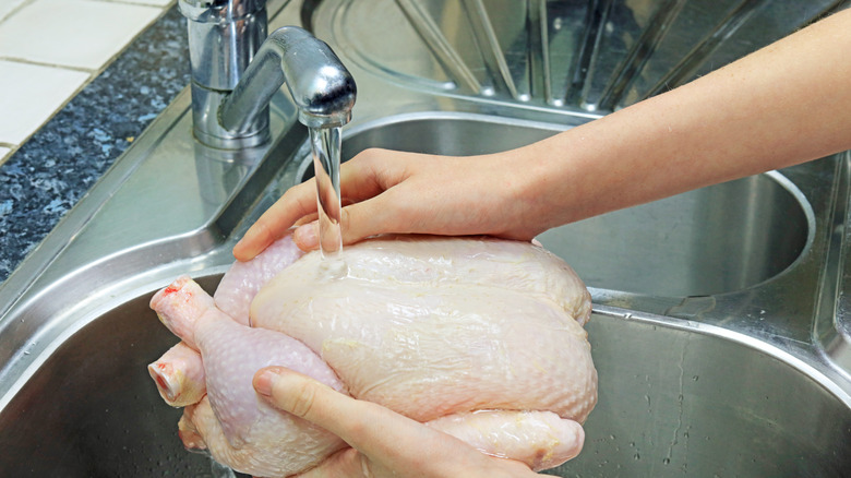 washing chicken in sink