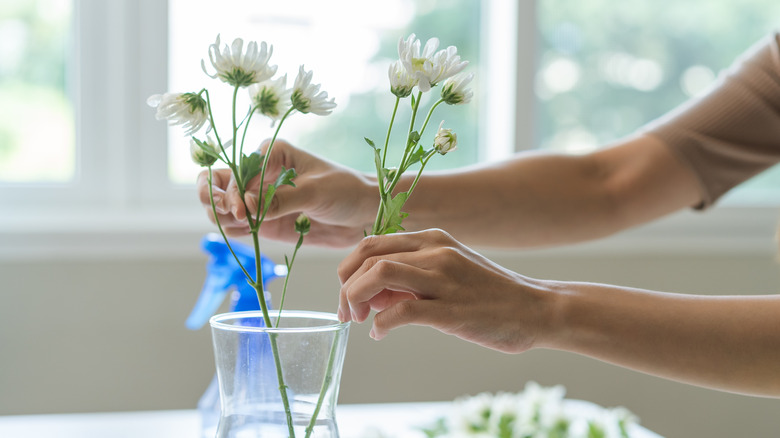 Woman arranging cut daisies in a vase