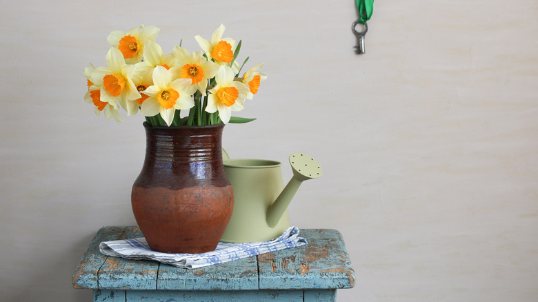 A bunch of daffodils in a clay pot