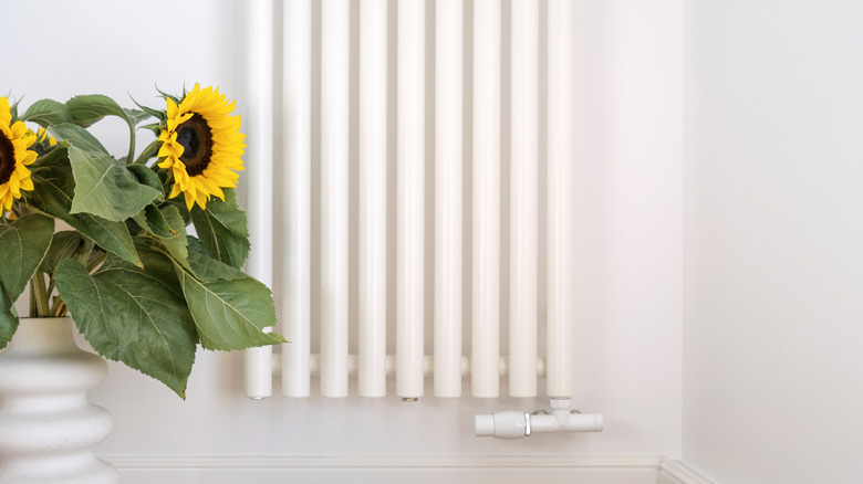 Picked sunflowers in a tall vase next to a radiator