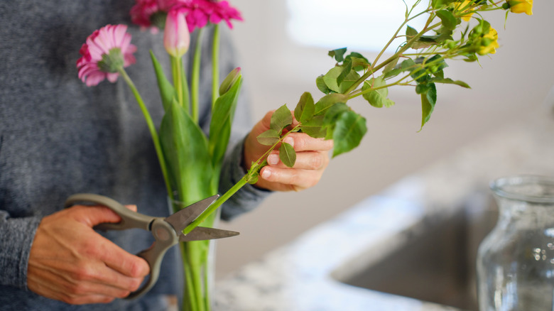 Close-up of a person cutting the end of a flower stem