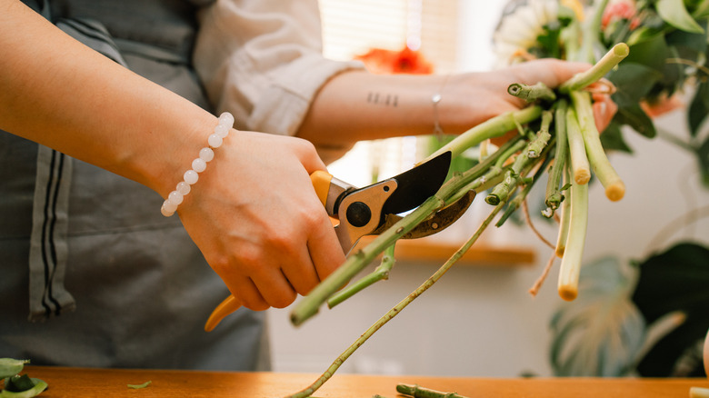 Close-up of a person cutting flower stems with pruning shears