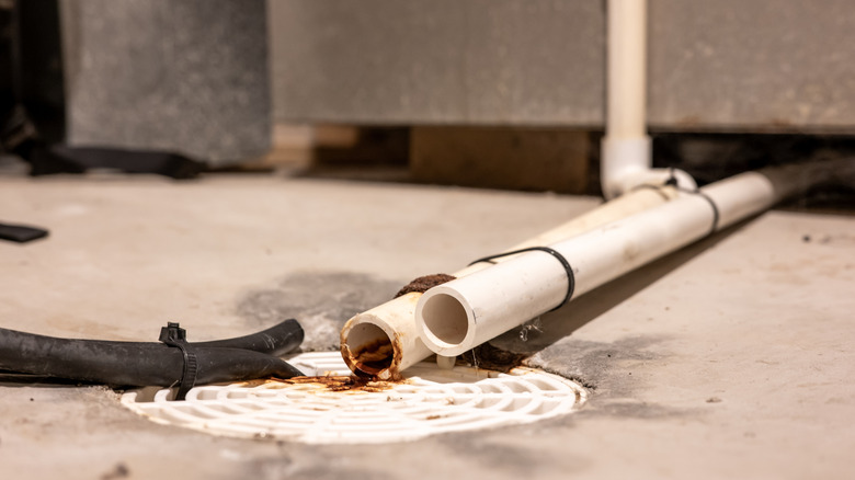 Pipes over a drain in a basement
