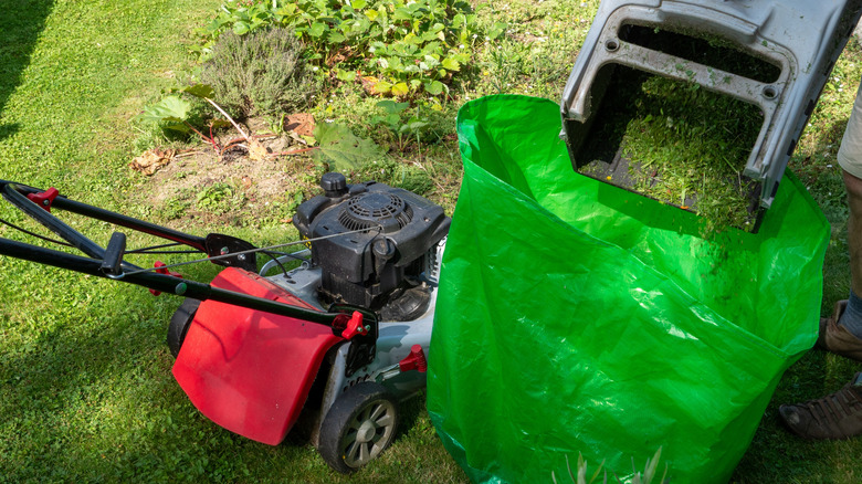 Someone dumps lawn clippings into a green yard waste bag after mowing.