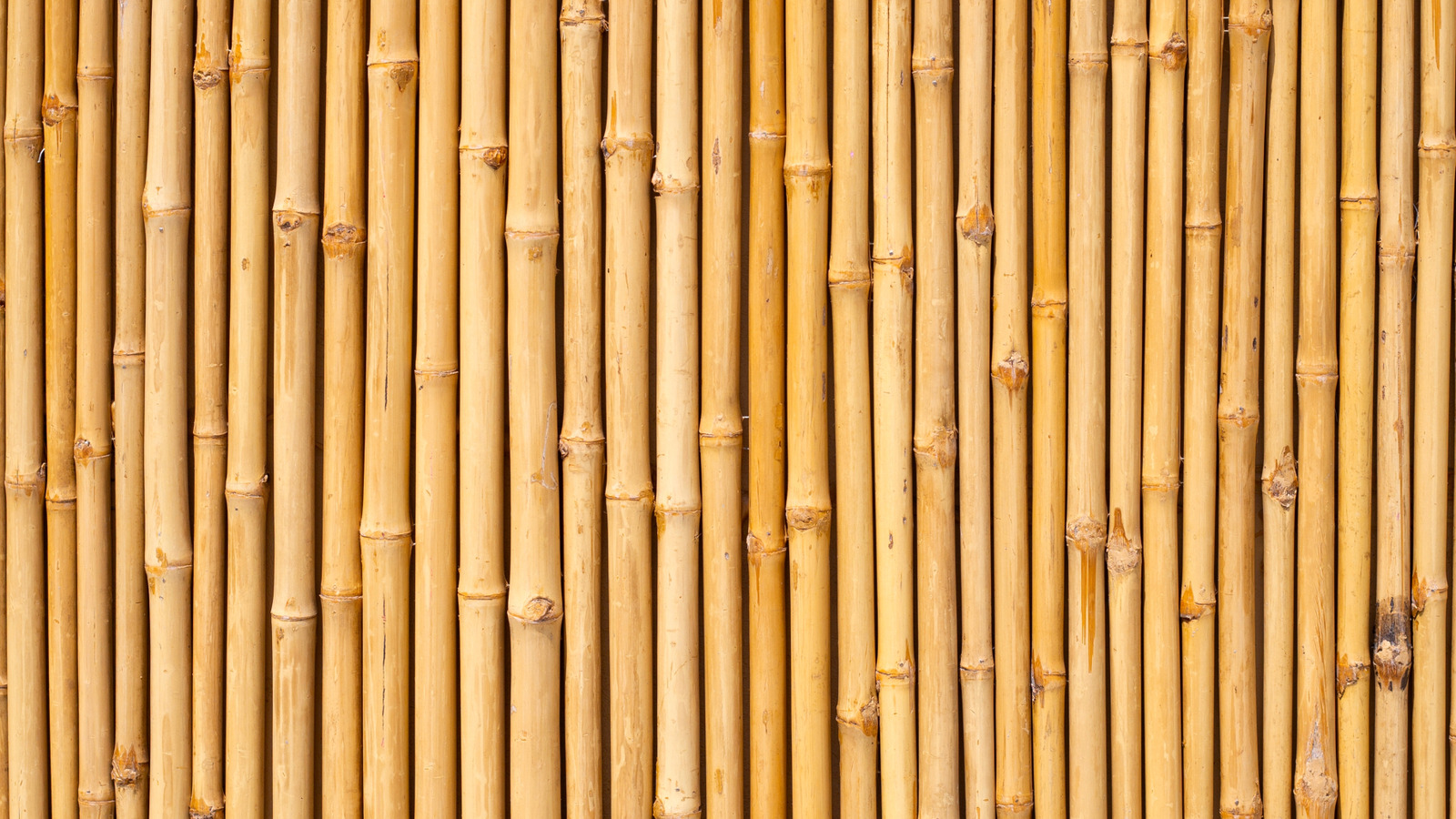 Common Mistakes That Are Reducing Your Bamboo Fence's Durability