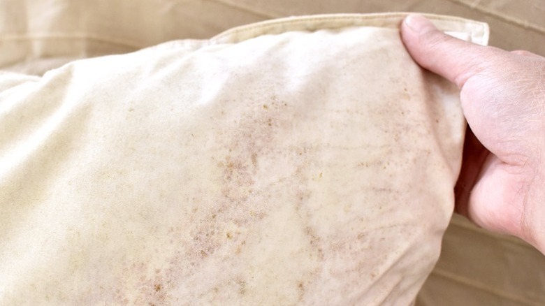 Person holding a corner of mold-spotted white pillow