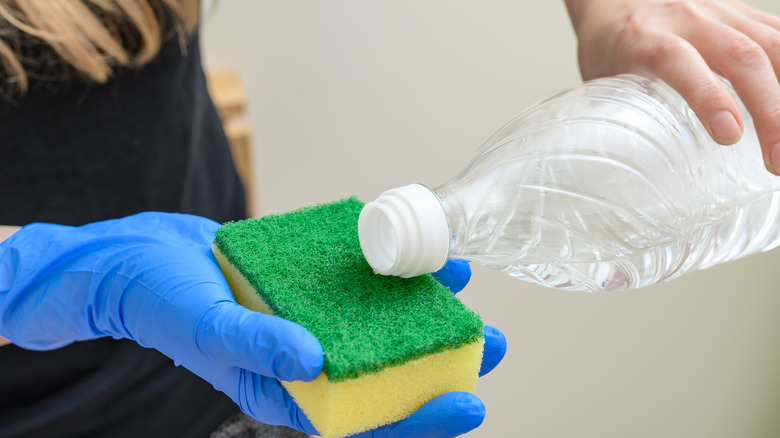 Woman pouring solution from a bottle onto a scrub sponge